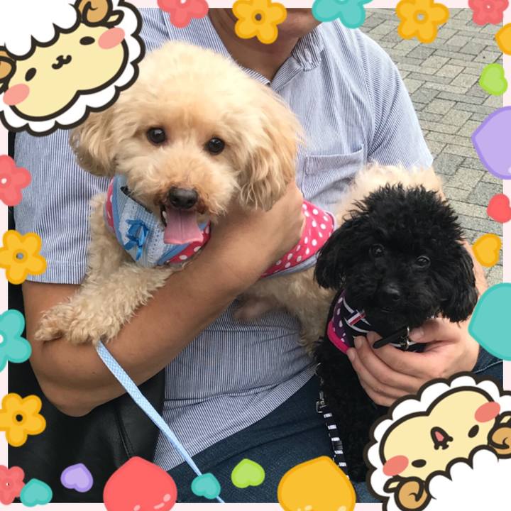 145f69e6 3e6c 4fd0 93d8 efbeba20ace7