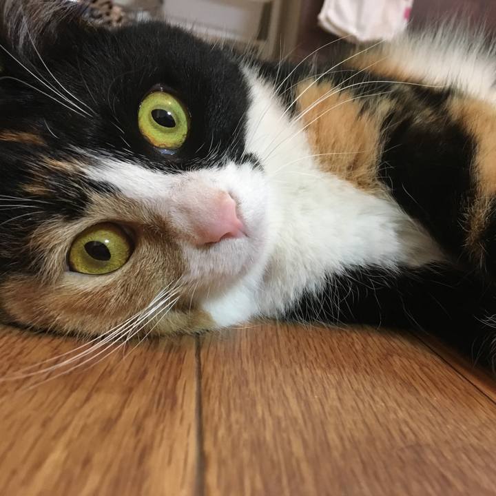 145f9cc2 8aef 4115 afd5 b8da373f20e9