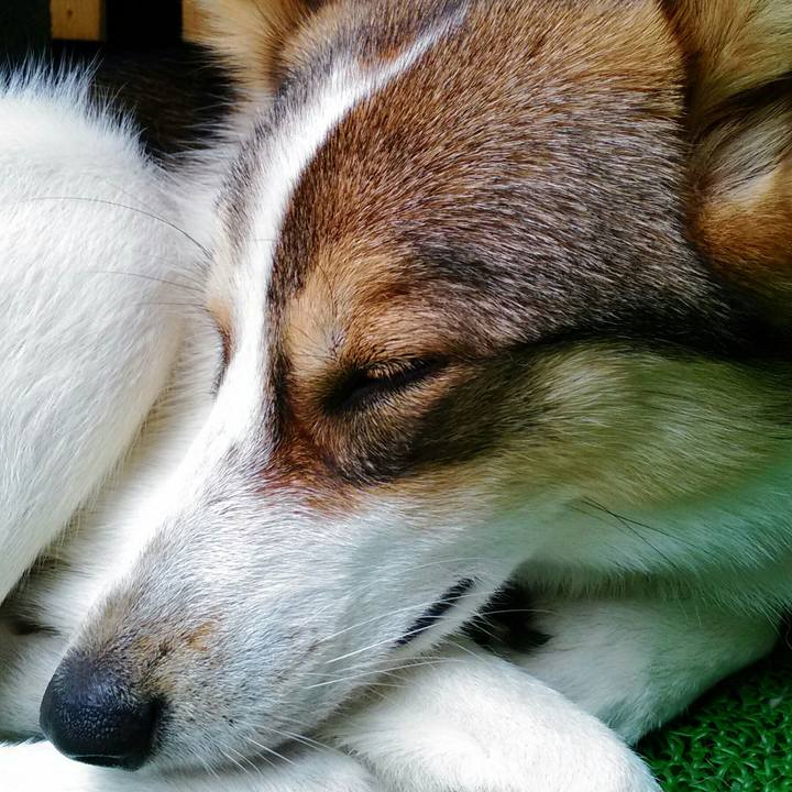 145fcbb1 c20a 47e7 b3a8 469b0c23b876