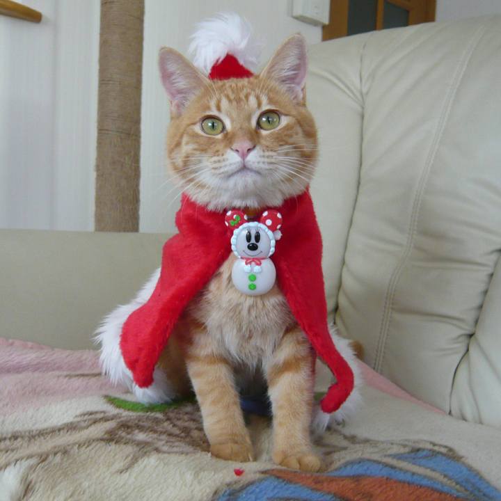 1460699f bad3 4f1f ac58 04d48da93523