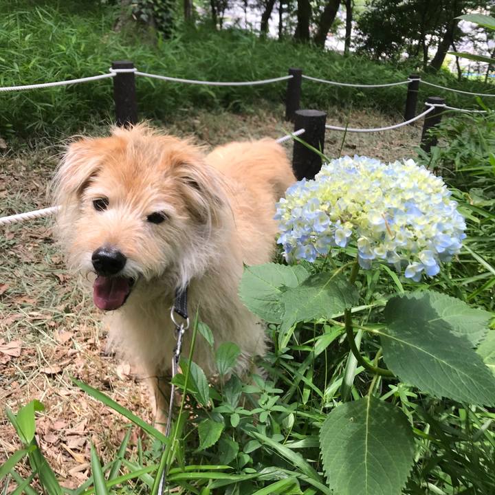 14609a5f 12fa 4d63 a2b9 9dc80afd5d10