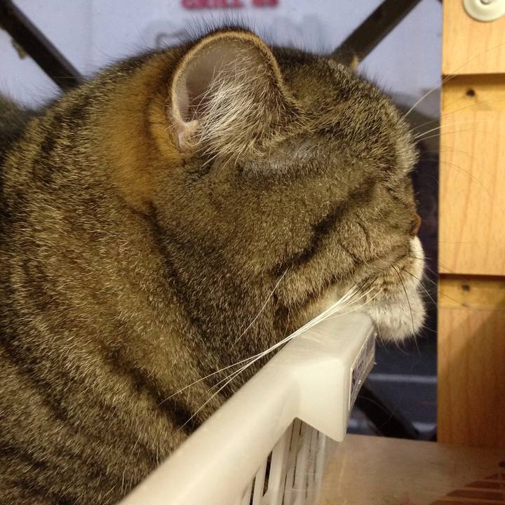 1460b1ca d259 451f 96e7 cb8ed501cedd