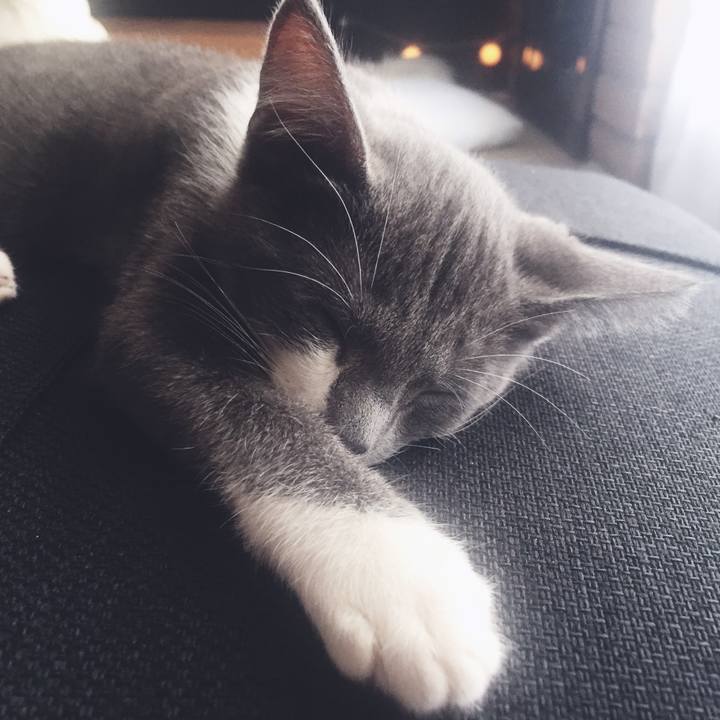 1460e9bf d72d 40dd 87de 89e901e72547