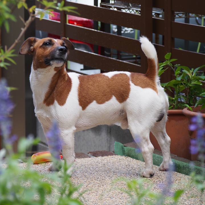 146127cf af95 4791 a62b c63555770fbf