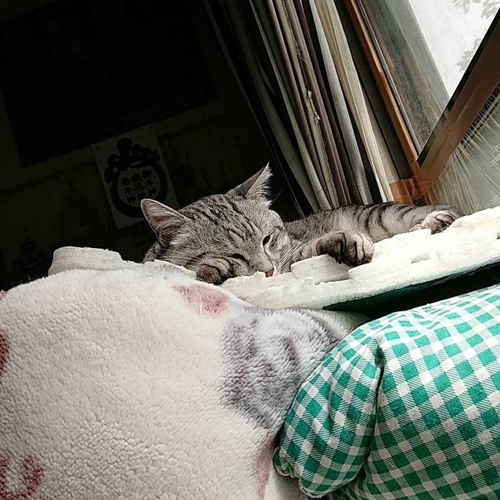 14617b59 aa9e 4b64 bd5c d04d8b468c19