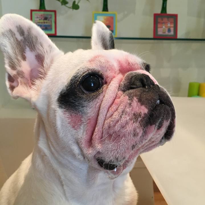 1462026f 8981 4412 bd01 8115aab1ad81