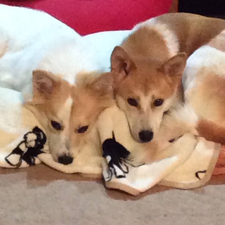 14627092 5ac5 4d25 a66d 0260fb403e59