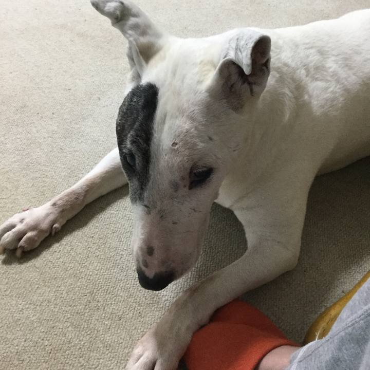 1462cfa7 53e8 4d74 bdf7 ef19c3ad63c3