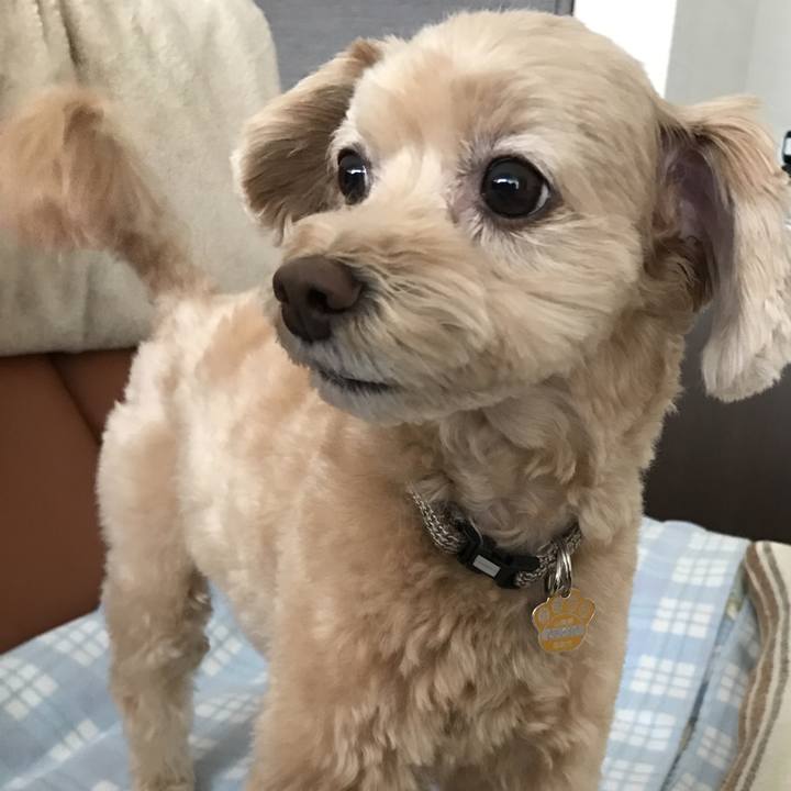 1462e665 d35b 46ab bebe d2e47406e640