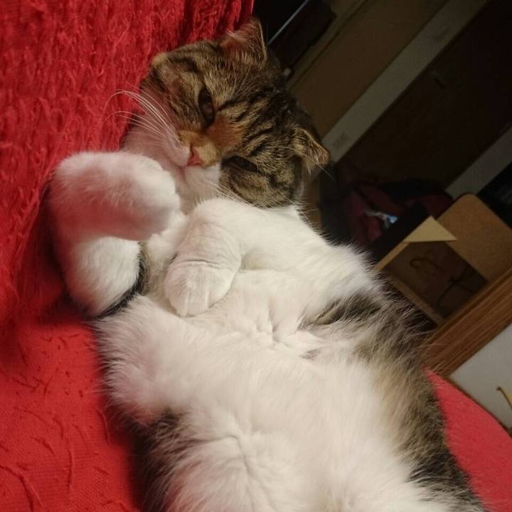 14634b05 8857 424f bb22 42277252bae3