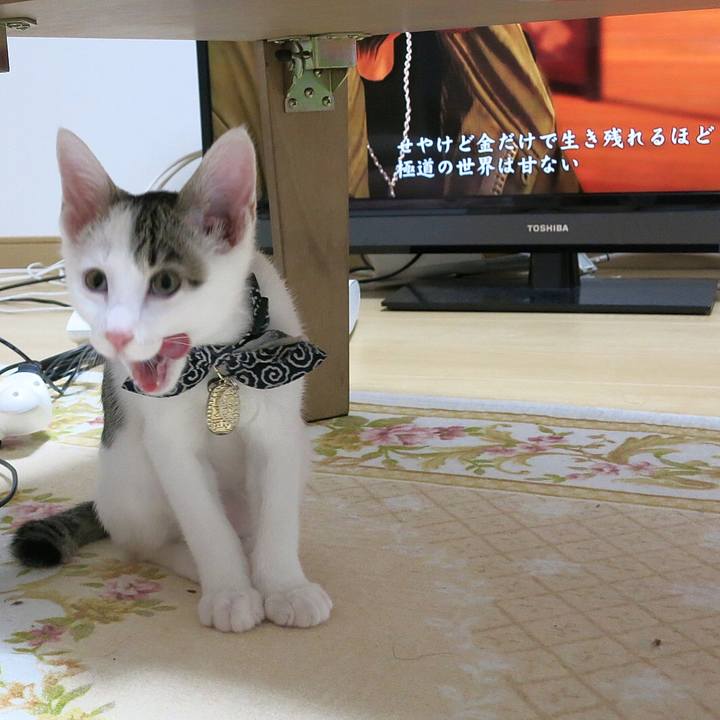 1463e958 9ef3 4884 8635 a6a4ed64d0d9