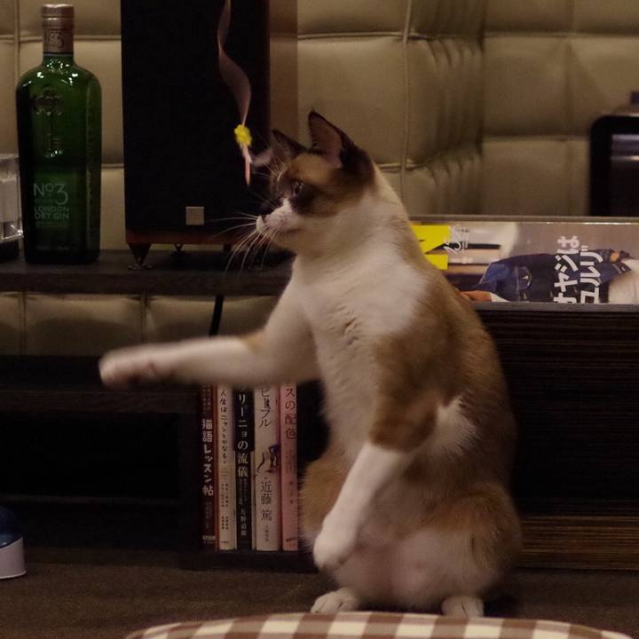 146455fb a83f 4ca5 a0c6 8aaff2d8950c