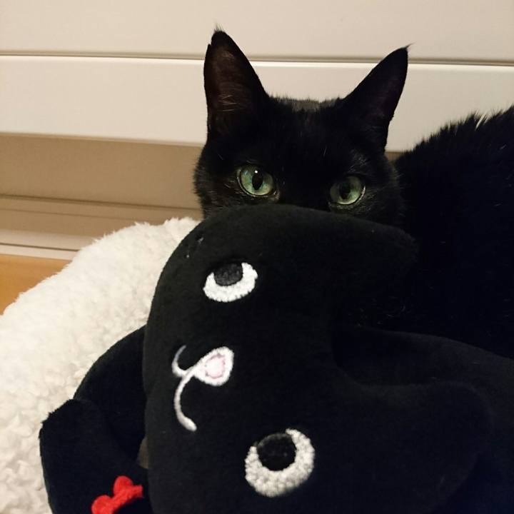 146474b1 3659 4879 b048 ba603943096e