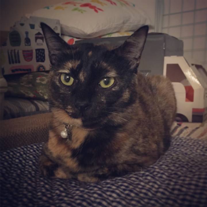 1465dc18 e894 4d23 92d2 5b95197f0337