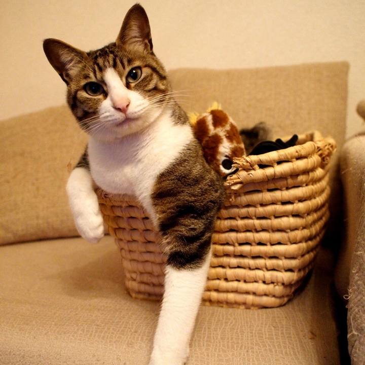 14660ff0 5314 4c7e 9985 f44fdf2cb0fc