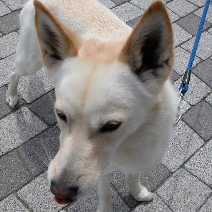 14664a2a fba6 43bf 8a32 ca74fe691e2b