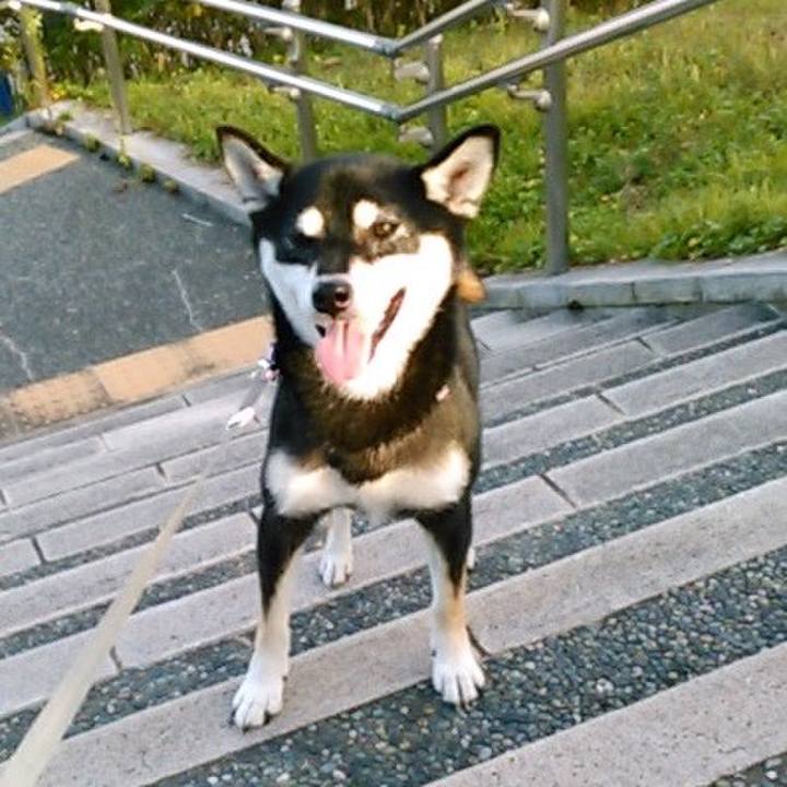 14668d54 3a0e 422c 845b fb8628209392