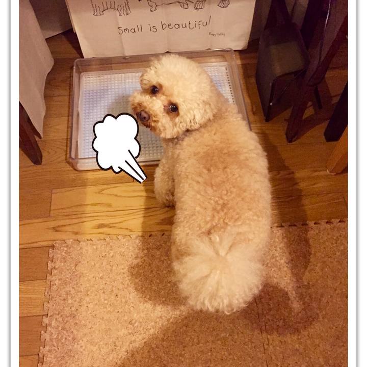 1466f777 7ffd 4bb9 ad1f 5dc5908074d9