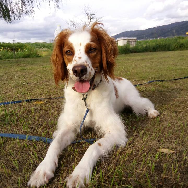 1469192e 68d9 4cf7 a029 30749e97588e