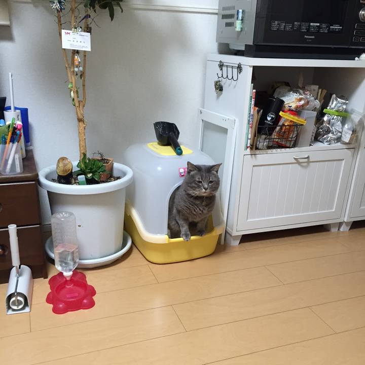 14691b49 643b 4462 af76 c7c26ec87308