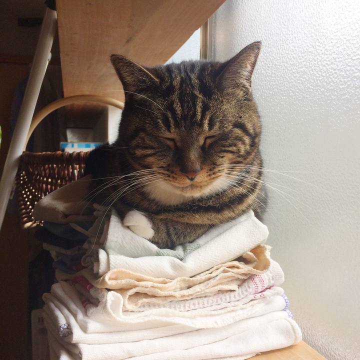 1469948d 23f5 4bdc a1c3 c380386a434a