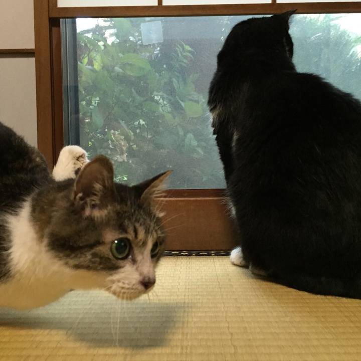 146a2433 9f3b 45ea 86dc 7e567b4a1feb