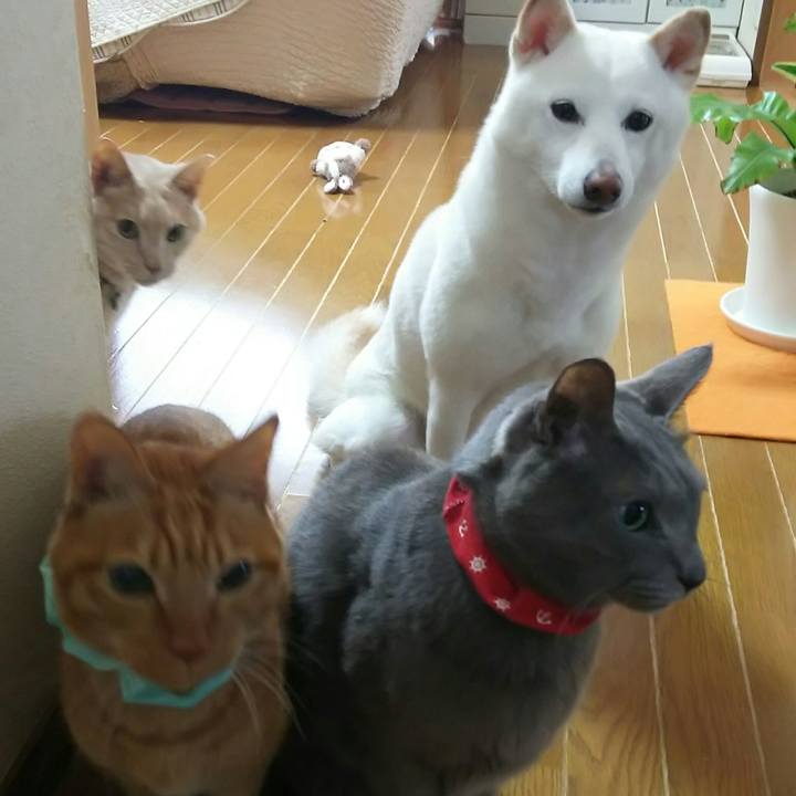 146b19c2 df21 4571 9ab0 84944a106f25