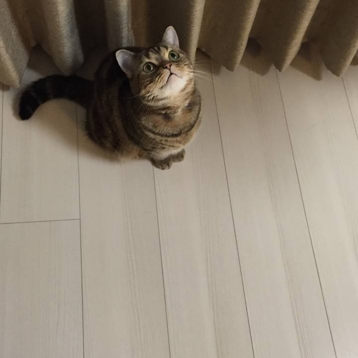 146b4795 060a 41bd 8abc fd5bd84f0cb0