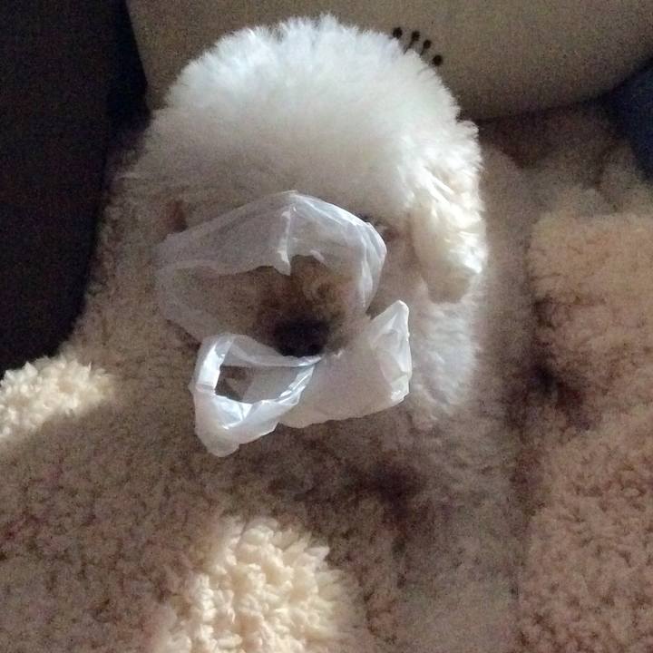 146b5a9a c125 4120 a1cd 15dd3c5d0509