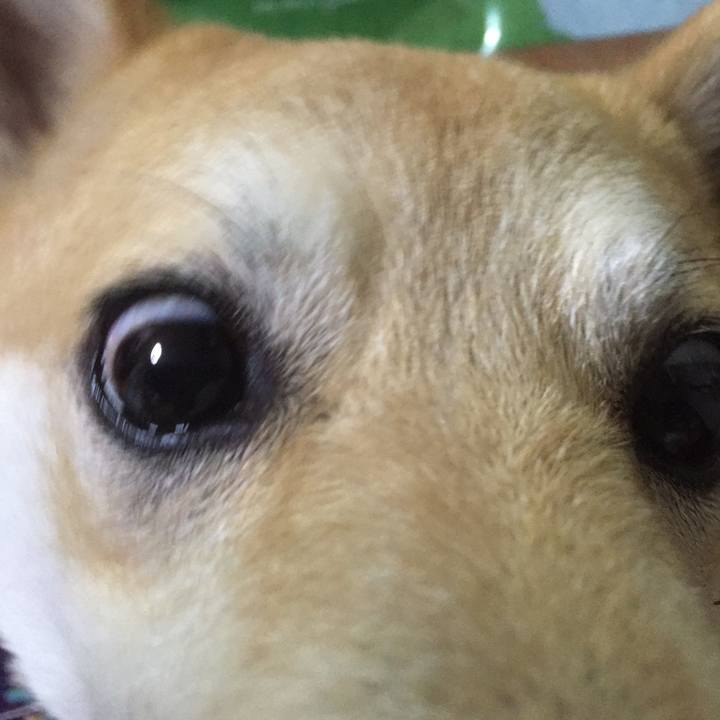 146b9e07 a9f9 4f98 baae 1636ae072a48