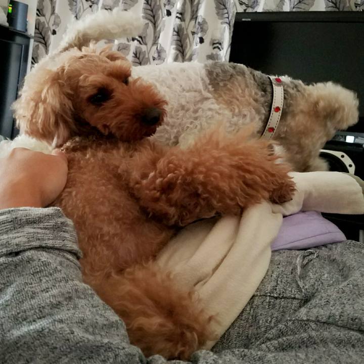 146cb33b 438b 4068 8a9e 8a34f90612ab