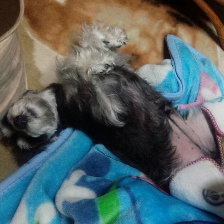 146cb4d9 db41 43e6 8564 e436b7dddff2