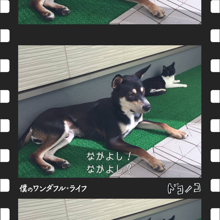 146cc983 f9a0 4c03 b963 6d68fcd58a82