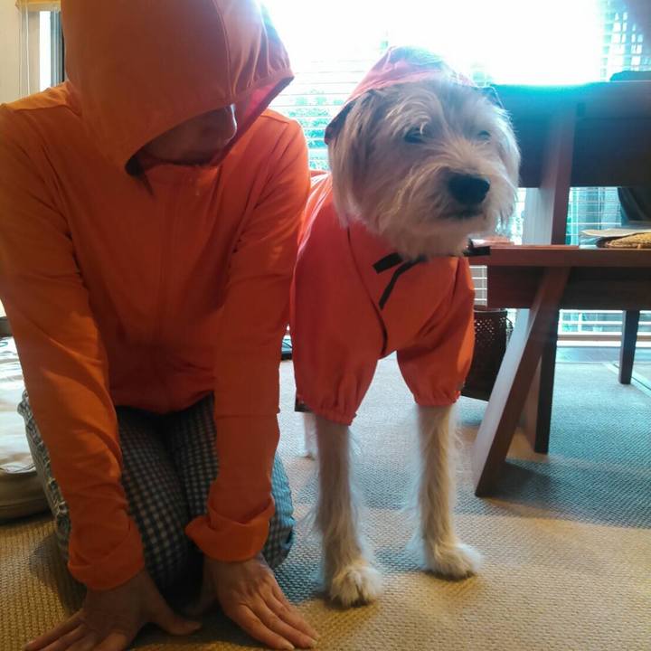 146d9659 5b98 4256 9bba b1c09b6fc37c