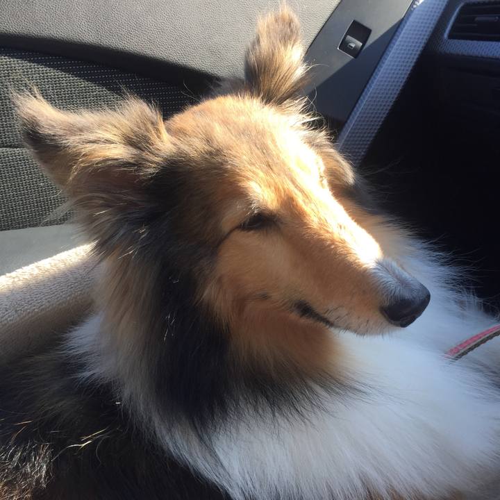 146e2c37 b7f4 4aaa ab88 ea06132efb85