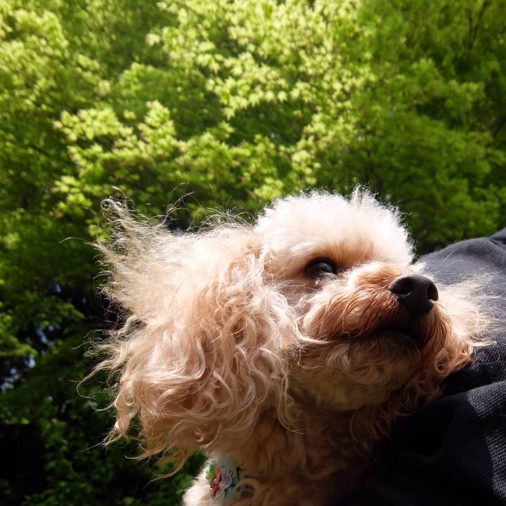 146fae68 ecdd 4995 bc9a f9cc0c3846a7