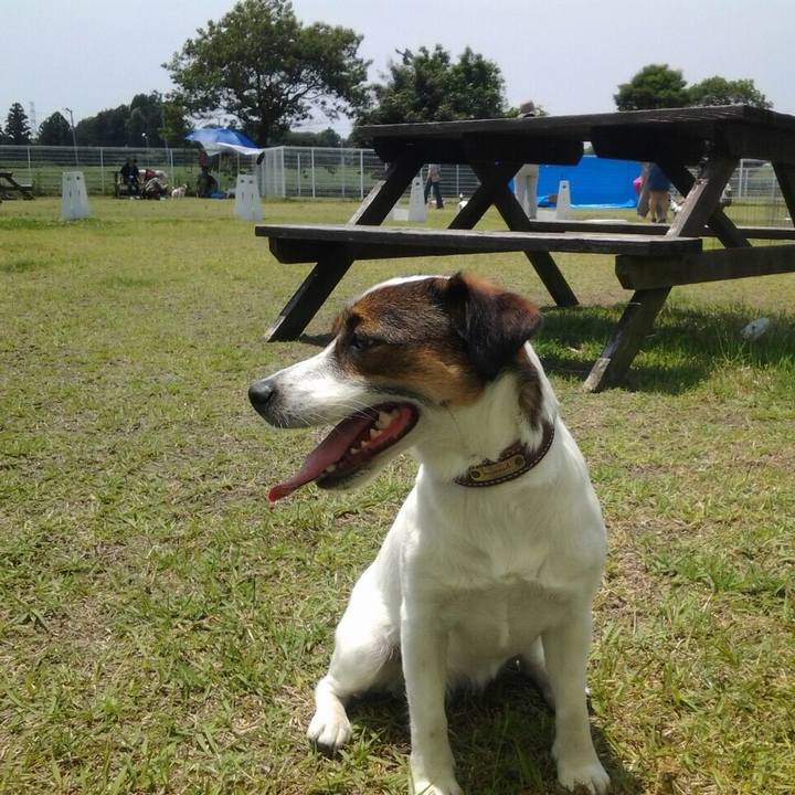 146fc267 9050 4937 93f7 0fbc41f19bdb