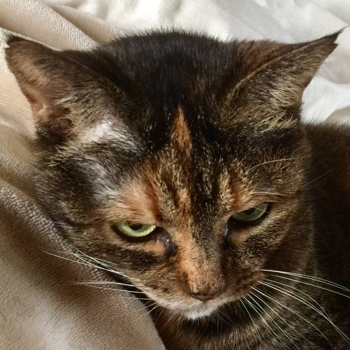 146fc4c7 7ead 4c4d b0ef a46ed55286f7