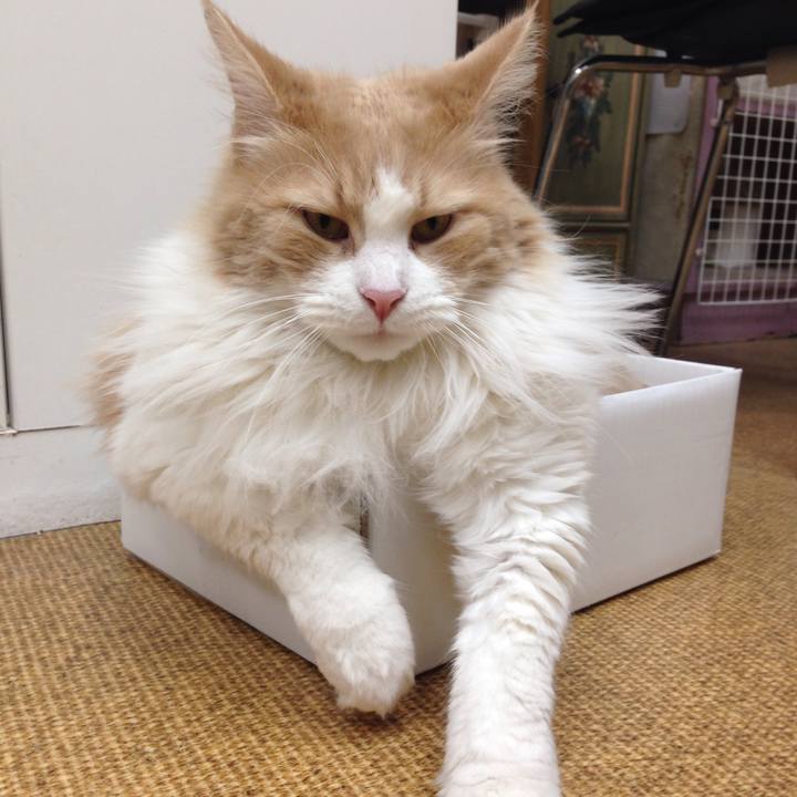 146ff937 93ec 4751 8701 cc515b13f848