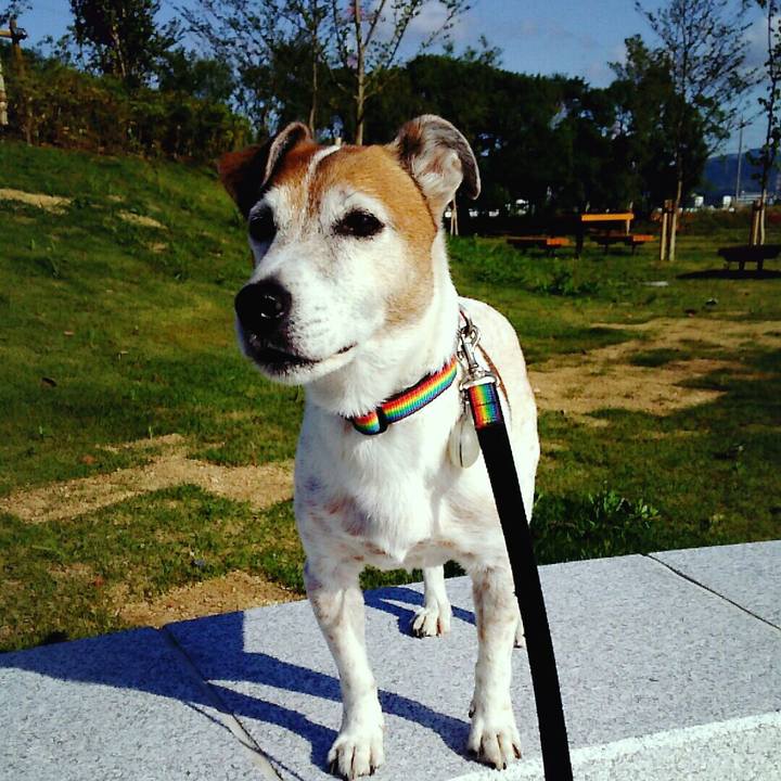 14701905 881f 44c0 bcbc a7982a31b24e