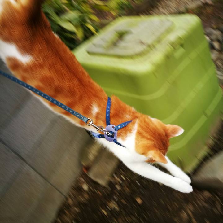 14709155 e2cc 46a7 b99c 8d90b3e2b74a