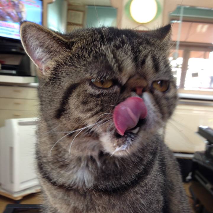 14713632 d5e7 4034 8e9c 1dade7c4f841