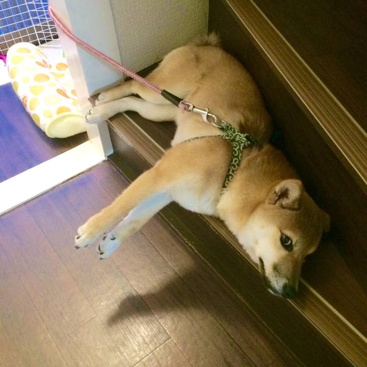 1471e039 d35f 490d 8d0c 97753fc461e9