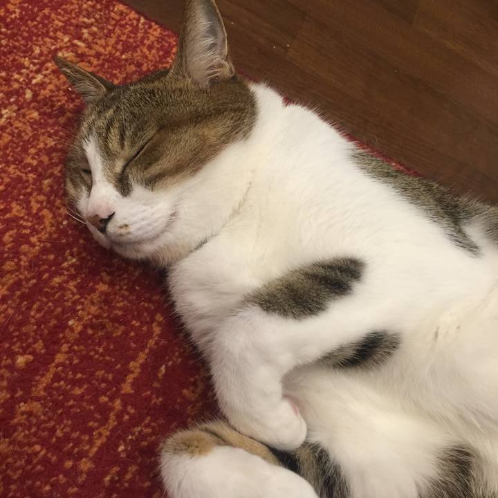 14723adb 1f06 4ef4 a4bc dd39f1b6b537