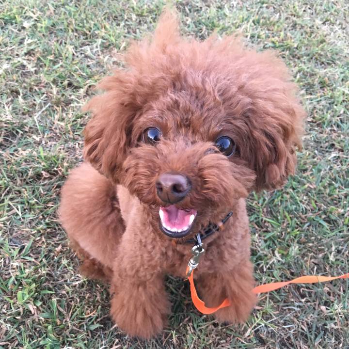 14724c8f fce9 4997 a708 e07a0683e5f7