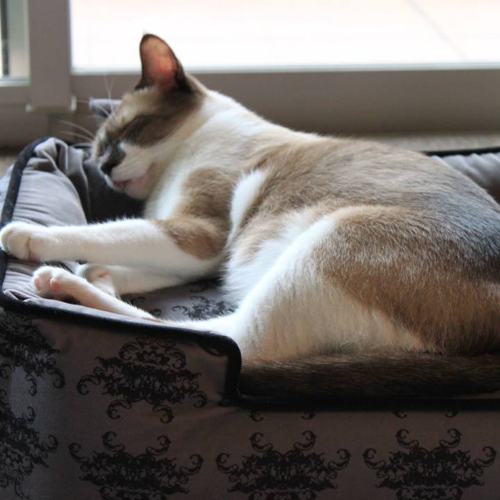 14729403 fb45 47d3 b51a df2ac26a6ca9