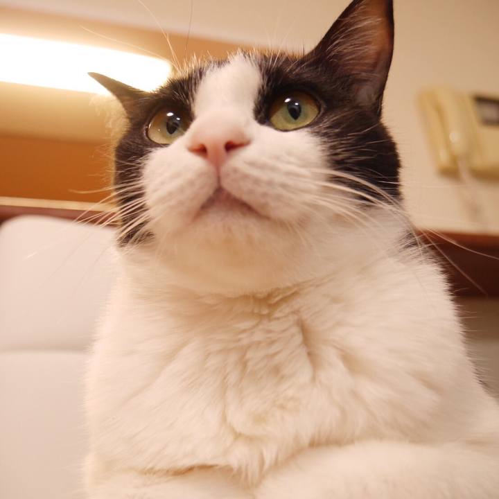 1472e074 7a84 4d79 9ea1 e0ccbcd02fa1