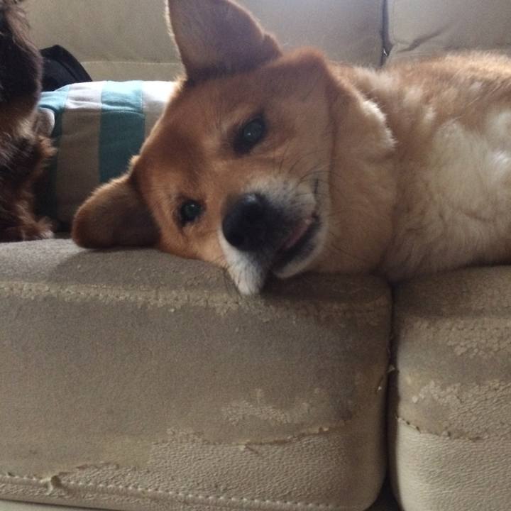 1474a2d8 933d 4d49 a210 e8a9a3d46018