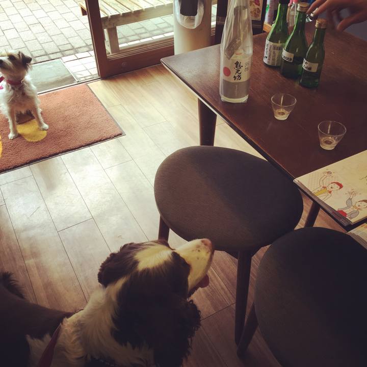 1474f751 b139 476a afef e6d283398ef4