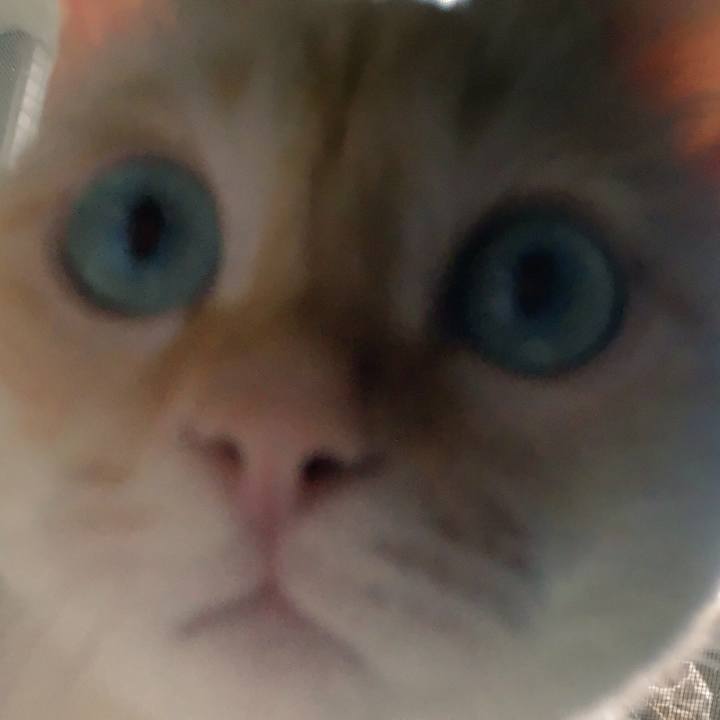 1475383b fadd 434c 8a99 70bb6cfa0af5